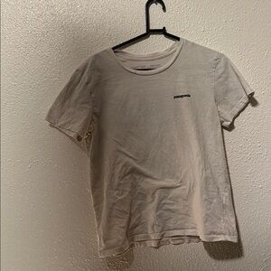 Patagonia tee